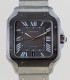 Cartier Santos